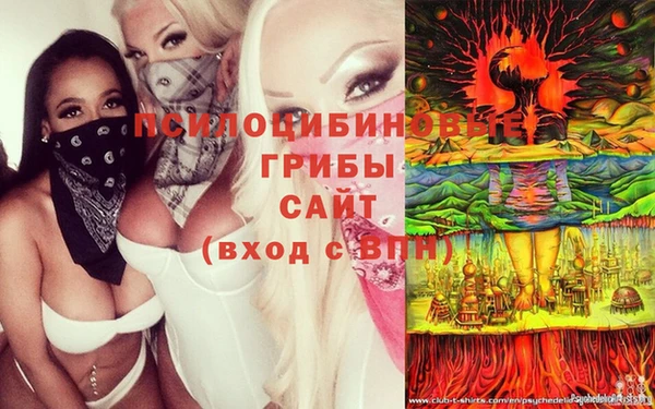 мдпв Волоколамск
